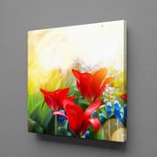 Technopa Kırmızı Çiçekler 50x50 cm Kanvas Tablo