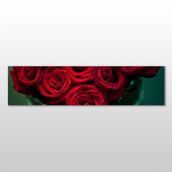 Technopa Kırmızı Gül 300x100 cm Kanvas Tablo