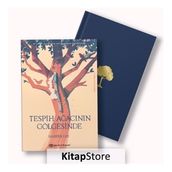 Tespih Ağacının Gölgesinde - Harper Lee