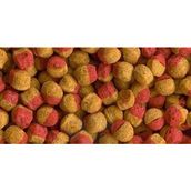 Tetra Cichlid Colour Mini Granules 500 gr Balık Yemi