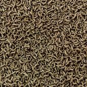Tetra Reptomin Çubuk Kaplumbağa Yemi Açık 100Gr