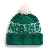 THE NORTH FACE Erkek Bere Retro Cabin