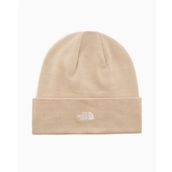 THE NORTH FACE Erkek beresi standart