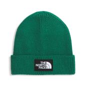 THE NORTH FACE Logo Box Cuffed Unisex Bere, Standart, NF0A8CHE, Yeşil, Unisex Yetişkin