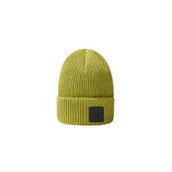 The North Face NF0A55KCM201 Explore Beanie Yeşil Unisex Bere