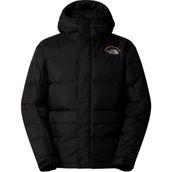 The North Face NF0A88XEJK31 Siyah M HMLYN 30 Anniversary Parka Erkek Outdoor Montu