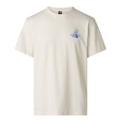 The North Face Nf0a8g9zqlı1 M Mountaın Celebratıon Regular Short Sle Erkek Tişört