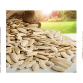 Ticaret Denizi 1.5 kg Tuzsuz Elek Üstü İri Boy Yerli Nevşehir Lüx Çiğ Kabak Çekirdeği