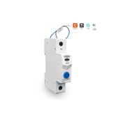 Tomzn Akıllı Voltaj ve Akım Koruma Rölesi, Sıcaklık Korumalı WiFi SmartLife Tuya 63A - Tek Kutup