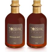 Toprak Doğal 300 gr Kestane Balı (2 adet)