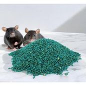 Transformacion Fare Yemi 250 Gr Fare Zehiri 720693 Tek Ebat