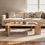 tridihome Masif Ahşap Renkli Modern Orta Sehpa Doğal Dokulu Şık Tasarım Salon Oturma Odası