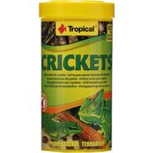 Tropical Astacolor 250 gr Açık Balık Yemi
