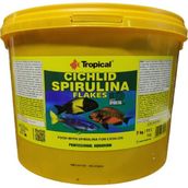 Tropical Cichlid Spirulina Flakes 100 gr Balık Yemi
