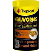 Tropical Meal Worms 250 ml 30 Un Kurdu Sürüngen Yemi