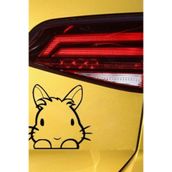 TSC Z1949 Sevimli Komik Tavşan Araba Sticker