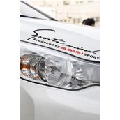 TSC Z206 Subaru Mind Sport Tampon Araba Sticker