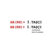 TSC Z2164 Kan Grubu Ve İsim Yazısı 25x2cm 2 Adet Sticker
