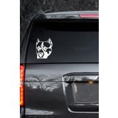 TSC Z486 Pitbull Köpek Araba Sticker