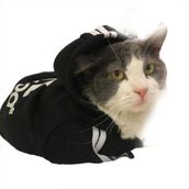 Tshirthane Siyah Adidog Kapşonlu Duo Kedi Sweatshirt
