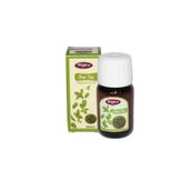 Tuğba Kuruyemiş 20 ml Nane Yağı