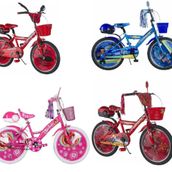 Tunca Torrini 20 Jant Kız Erkek Çocuk Bisikleti