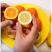 Tüplü Finike Kırmızı Limon Fidanı