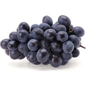 Tüplü Yüksek Verimli Aromalı Autumn Royal Üzüm Asma-Bağ Fidanı