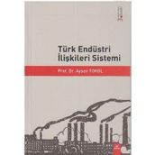 TÜRK ENDÜSTRİ İLİŞKİLERİ SISTEMI - AYSEN TOKOL (ISBN:9789755917429)