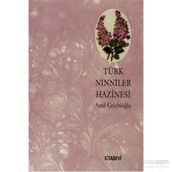 TÜRK NINNILER HAZINESI - AMIL ÇELEBİOĞLU