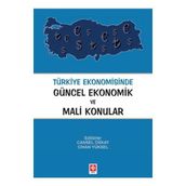 TÜRKIYE EKONOMISINDE GÜNCEL EKONOMIK VE MALI KONULAR - CANSEL OSKAY;CIHAN YÜKSEL