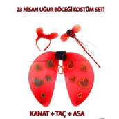 Uğur Böceği Kanat Seti