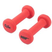 USR ND052 2X0,5 kg Neopren Dambıl