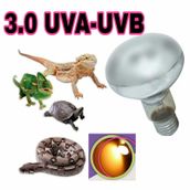 Uva-Uvb 3.0 Sürüngen Isıtıcı Lamba 100 Watt