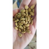Versele Laga Nutribird P15 Original, Papağan Pelet Yemi 250gr (Deneme Paketi)