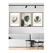 Vetro 30x40 cm Ceviz Design Monstera ve Deniz Kabukları