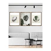 Vetro 40x50 cm Ceviz Design Monstera ve Deniz Kabukları