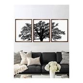 Vetro Design 3 Parça Ağaç 30x40 cm Ceviz Çerçeveli Tablo