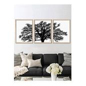 Vetro Design 3 Parça Ağaç 30x40 cm Natural Çerçeveli Tablo