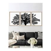Vetro Design 3 Parça Ağaç 40x50 cm Natural Çerçeveli Tablo