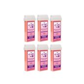 Vi-Vet 100 ml Pudralı Kartuş Sir Ağda 6'lı Set