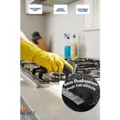 Vipex Magic Inox Paslanmaz Telli Bulaşık Süngeri 2 Adet