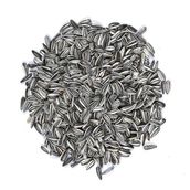 Vivid Bird-Çizgili Küçük Alaca Çekirdek Papağan Yemi 1 Kg