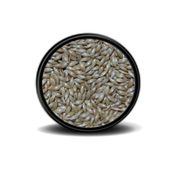 Vivid Sade Kanarya Yemi () 1 Kg aspur