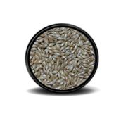 Vivid Sade Kanarya Yemi (aspur) 1kg