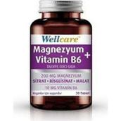 Wellcare Magnezyum + Vitamin B6 30 Tablet
