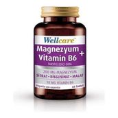 Wellcare Magnezyum Vitamin B6 60 Tablet