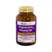 Wellcare Magnezyum Vitamin B6 90 Tablet