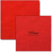 Wilma Secret 2 Adet 35x40 cm Nano Mikrofibre Bez