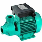 Wilo PV 50 M 0.8 HP Periferik Pompa